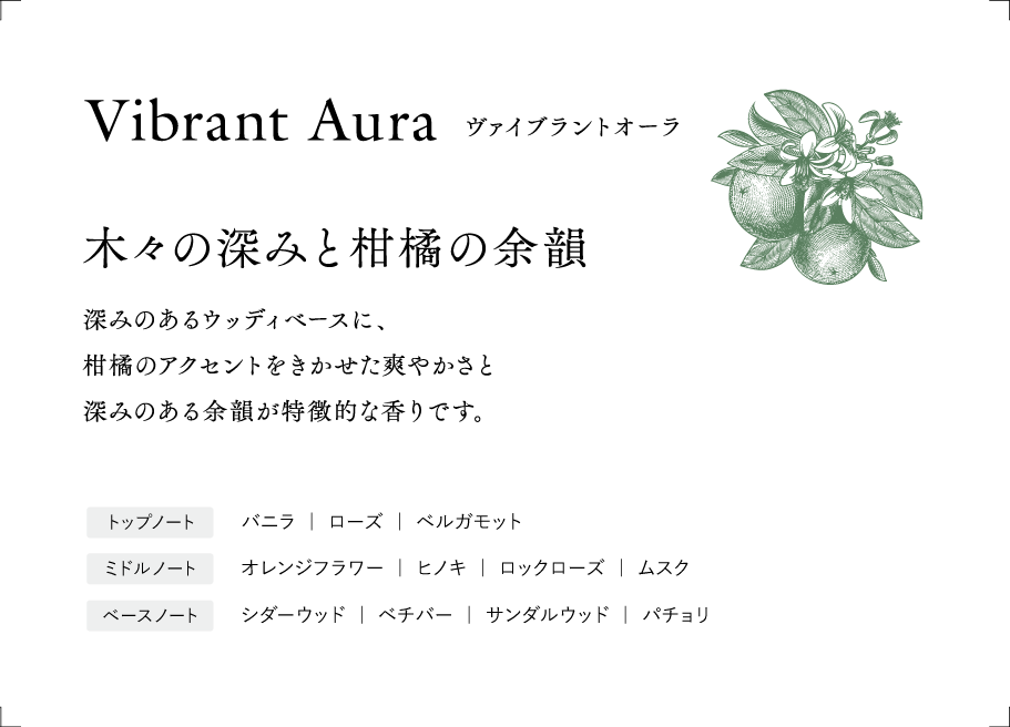 MSLS ディフューザー（VIBRANT AURA）+ スティックセット